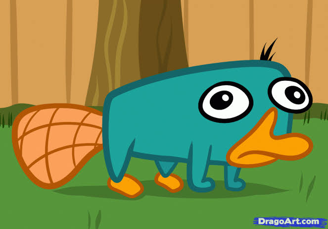  How to Draw Perry the Platypus Easy, Step by Step, Disney